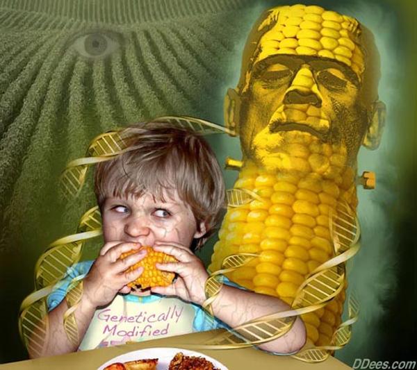 Corn