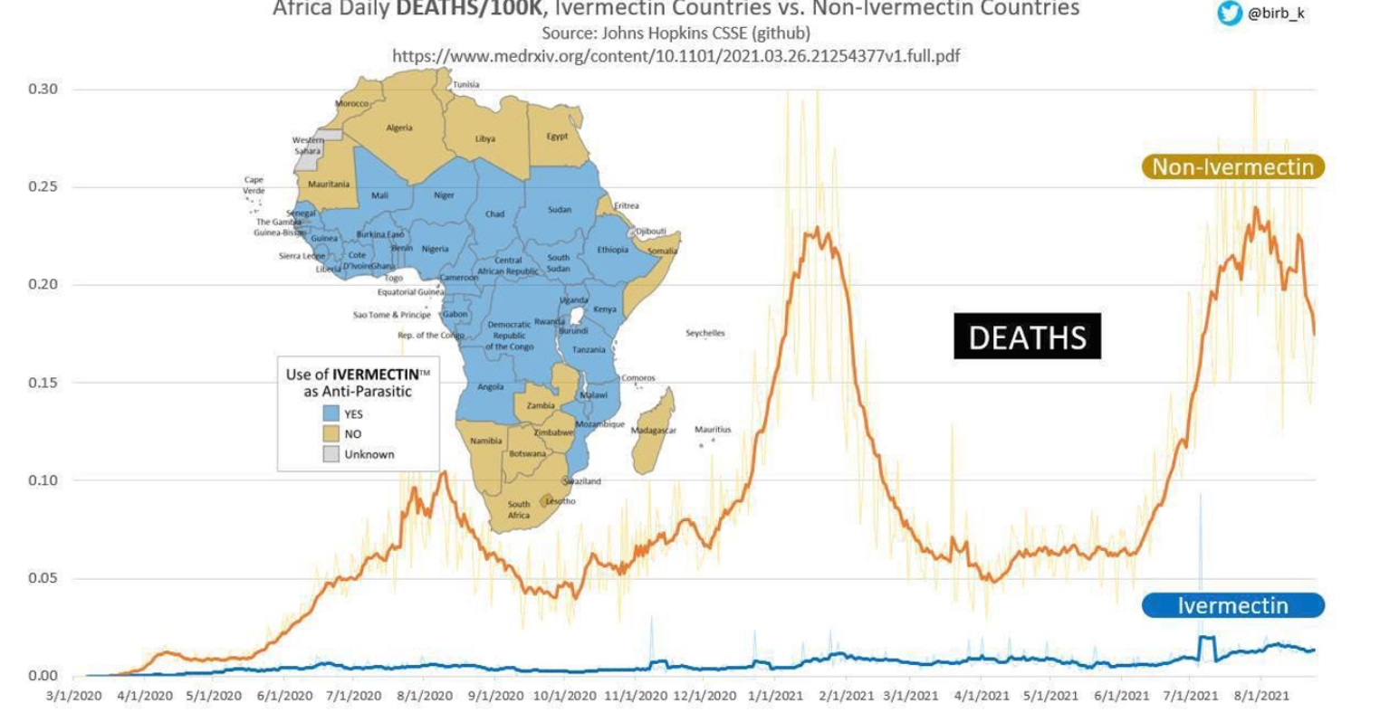 Africa Ivermectin